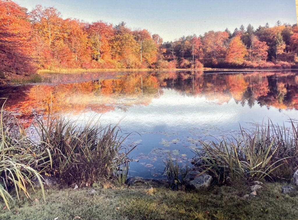 Artist - Dennis Gould - A Fall Pond